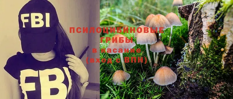 Галлюциногенные грибы Magic Shrooms  Княгинино 